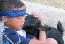 Fall Over Farms Ruff N Redee